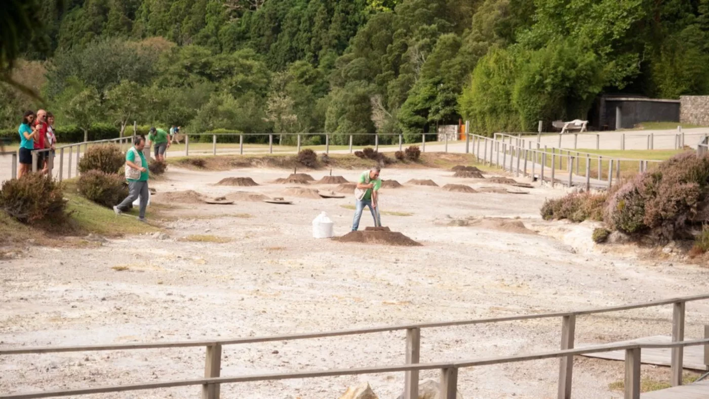 A Full Day in Furnas: Hot Springs, Volcanic Stew and Gorreana Tea - 5