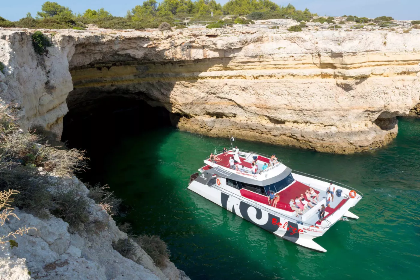 Benagil and Dolphins: Catamaran from Albufeira - 4