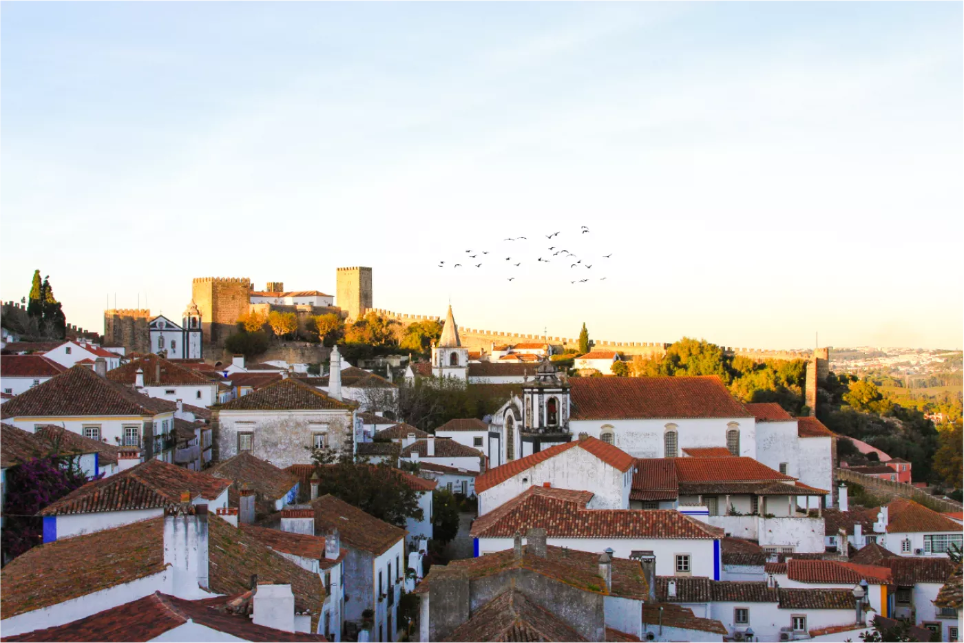 Óbidos Privado: Meio-Dia Medieval desde Lisboa - 5
