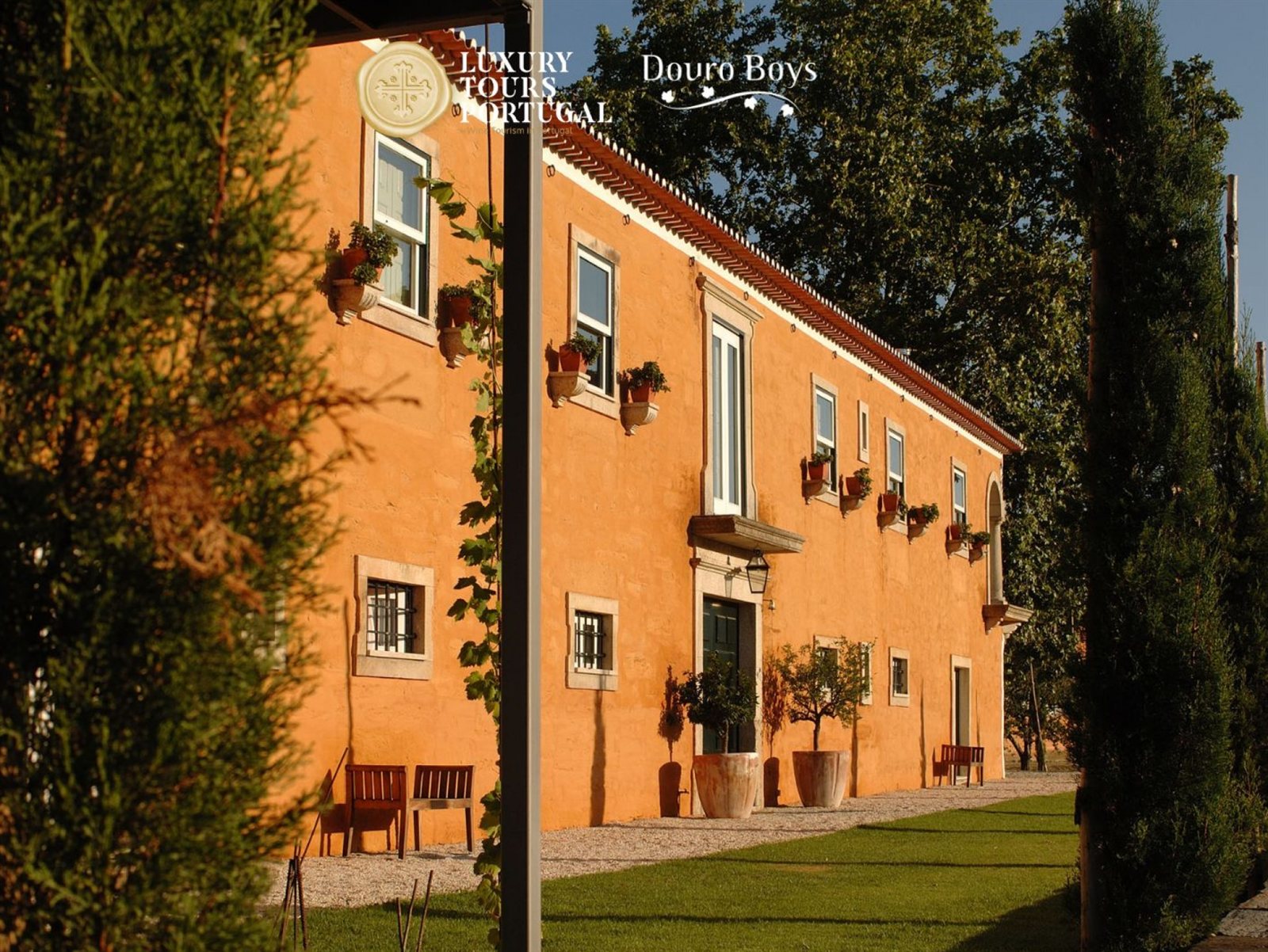 Retiro Luxo 6 Dias: Douro Boys & Vinhos Privados - 7