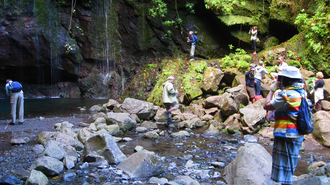 Rabaçal Levada Walk: Risco Waterfall and 25 Fontes - 4