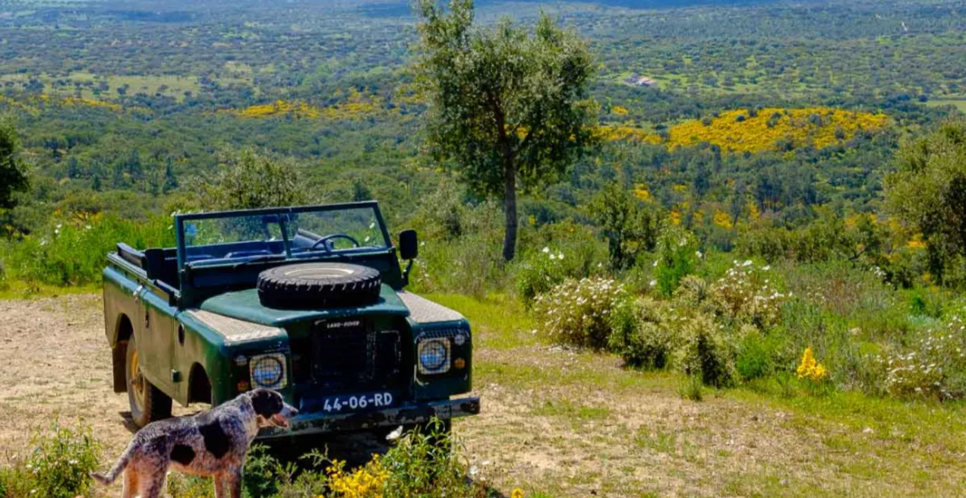 Alentejo Cork Country by Jeep - 5