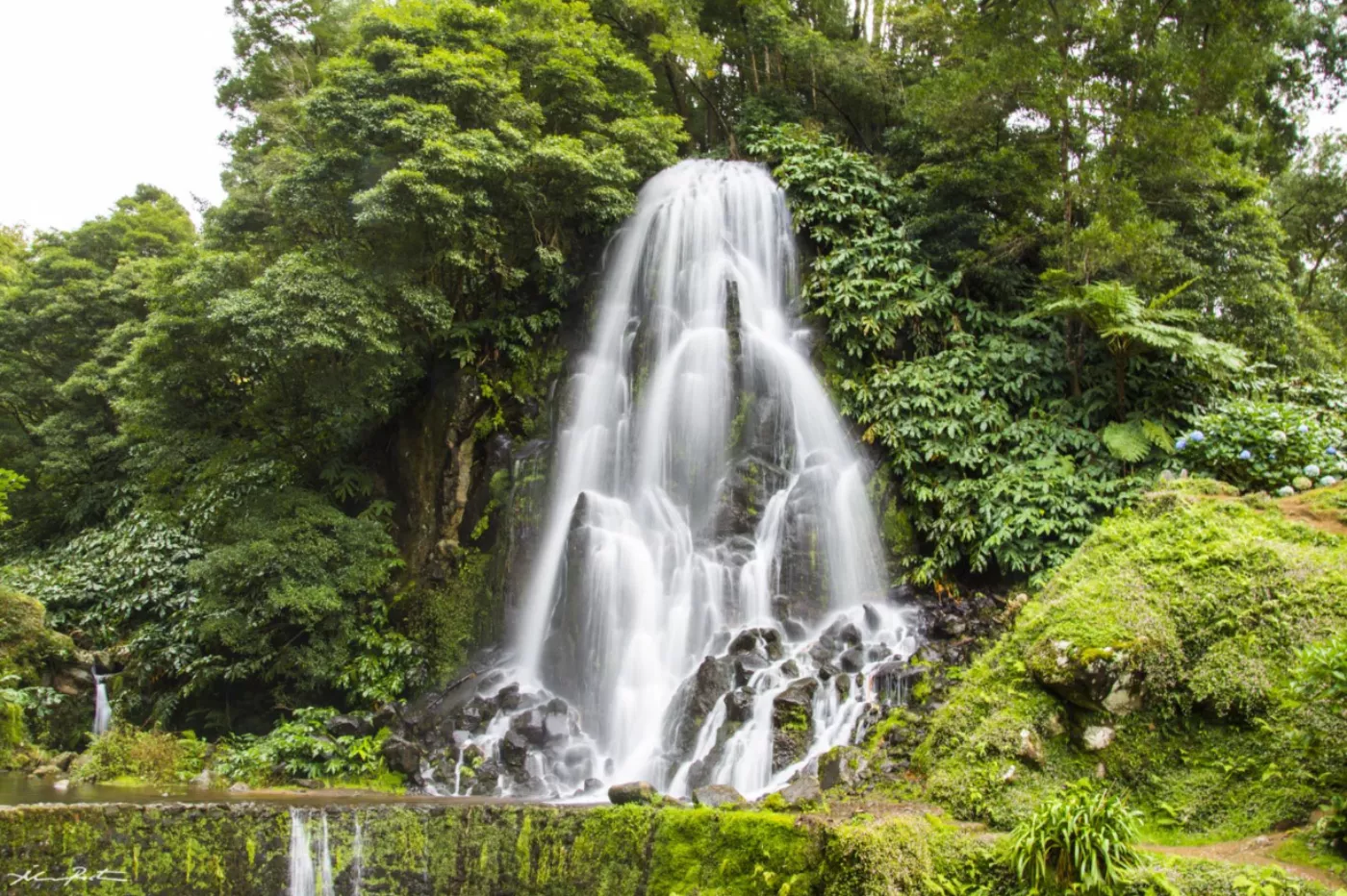 A Full Day in Furnas: Hot Springs, Volcanic Stew and Gorreana Tea - 12