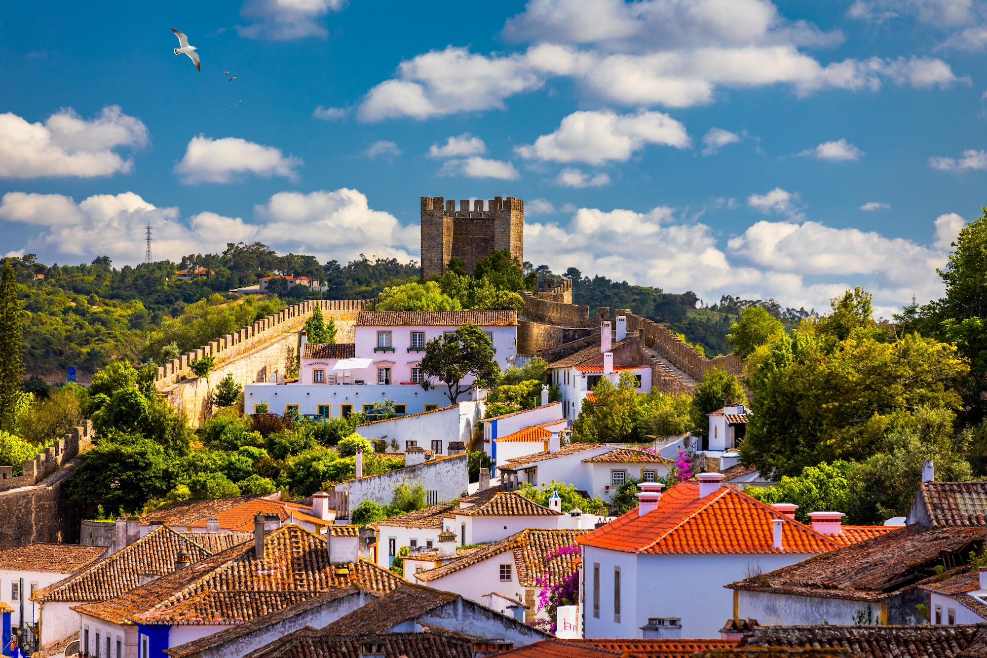 Tour por Óbidos, Fátima, Batalha e Nazaré
