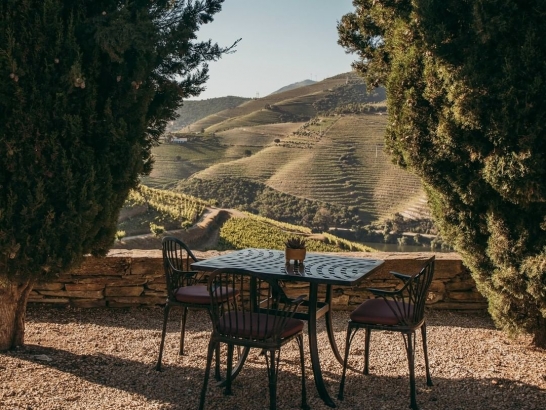 A Journey of Elegance: From Porto to the Heart of the Douro Valley