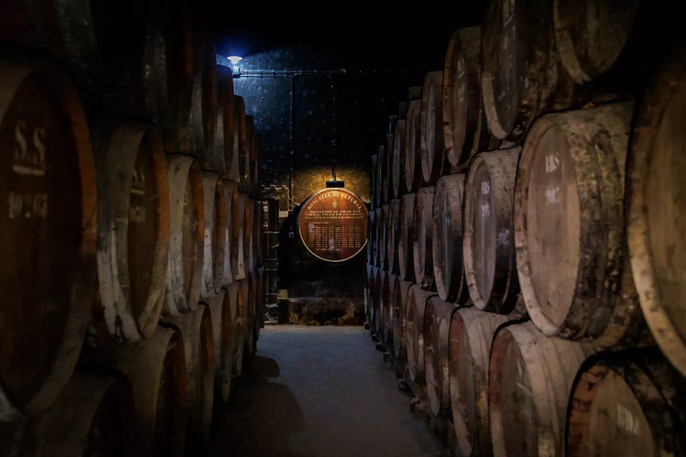 Roteiro de Vinhos na Arrábida: Adegas, Provas & Vistas - 9