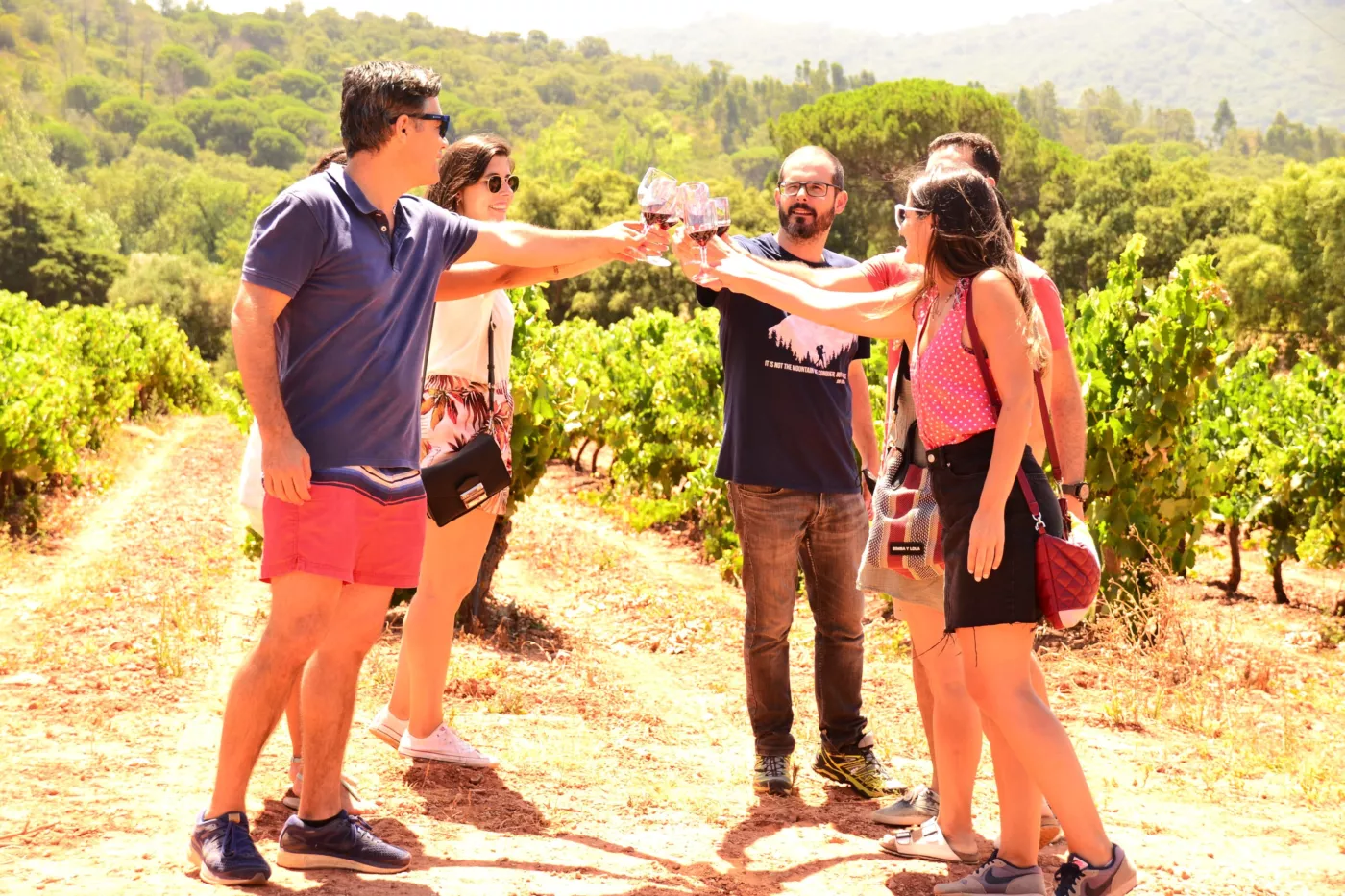 Roteiro Privado Arrábida: Vinhos, Castelo & Vistas do Oceano - 15
