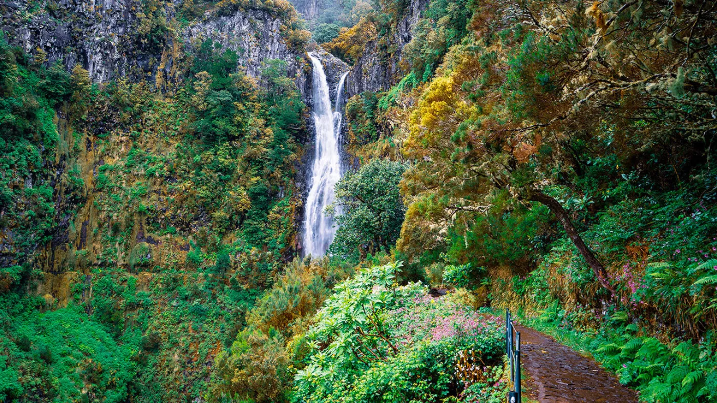 Rabaçal Levada Walk: Risco Waterfall and 25 Fontes - 6