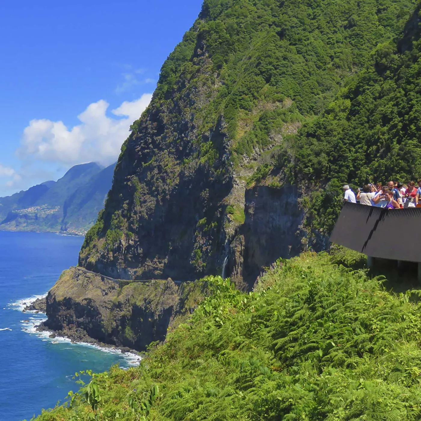 Northwest Madeira Jeep Safari: Fanal and the Lava Pools - 4