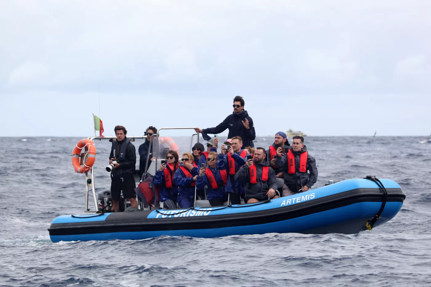 Whale Watching from Ponta Delgada - 6