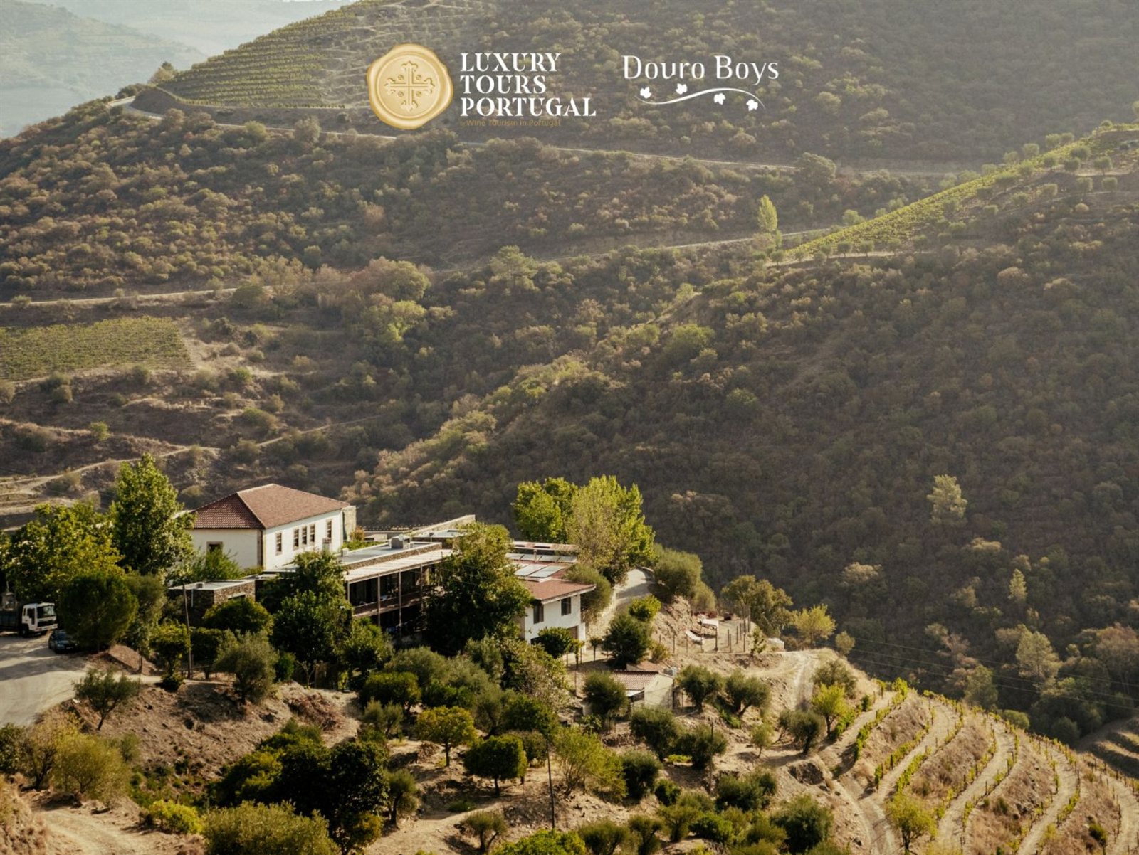 Retiro Luxo 6 Dias: Douro Boys & Vinhos Privados - 10
