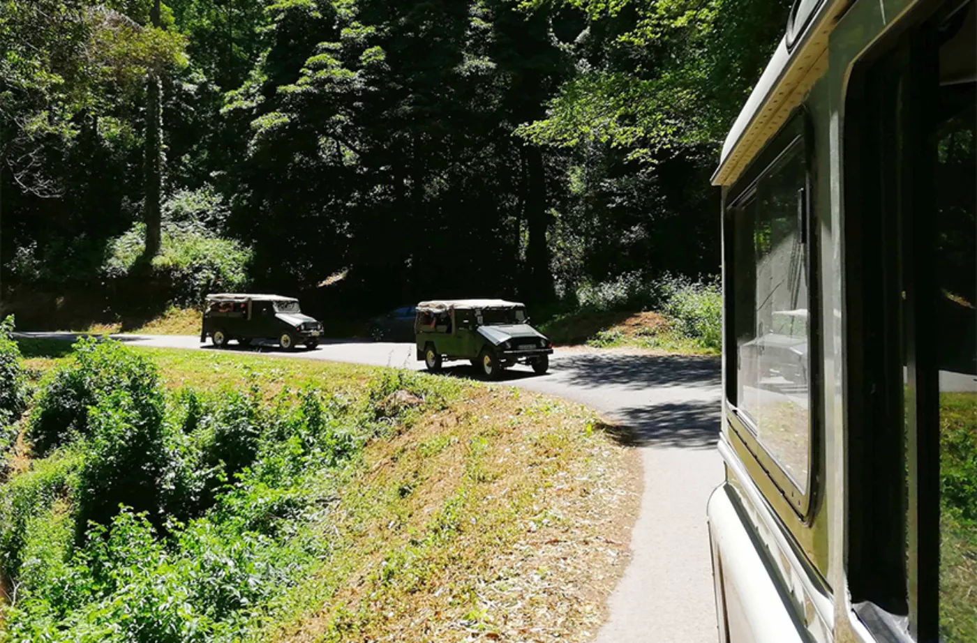 Aventura em Jeep: Sintra, Cabo da Roca & Cascais - 5