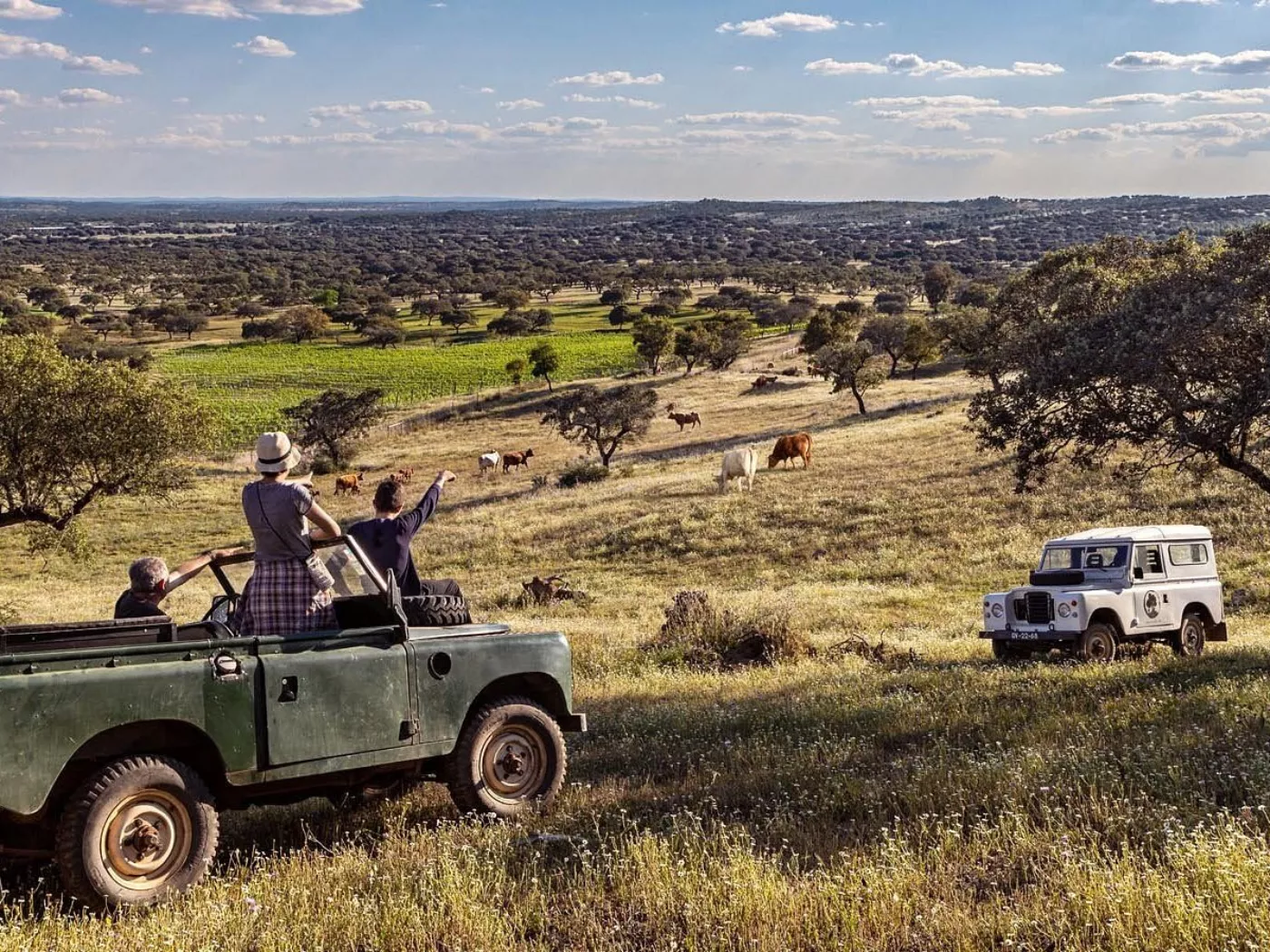 Alentejo Cork Country by Jeep - 4
