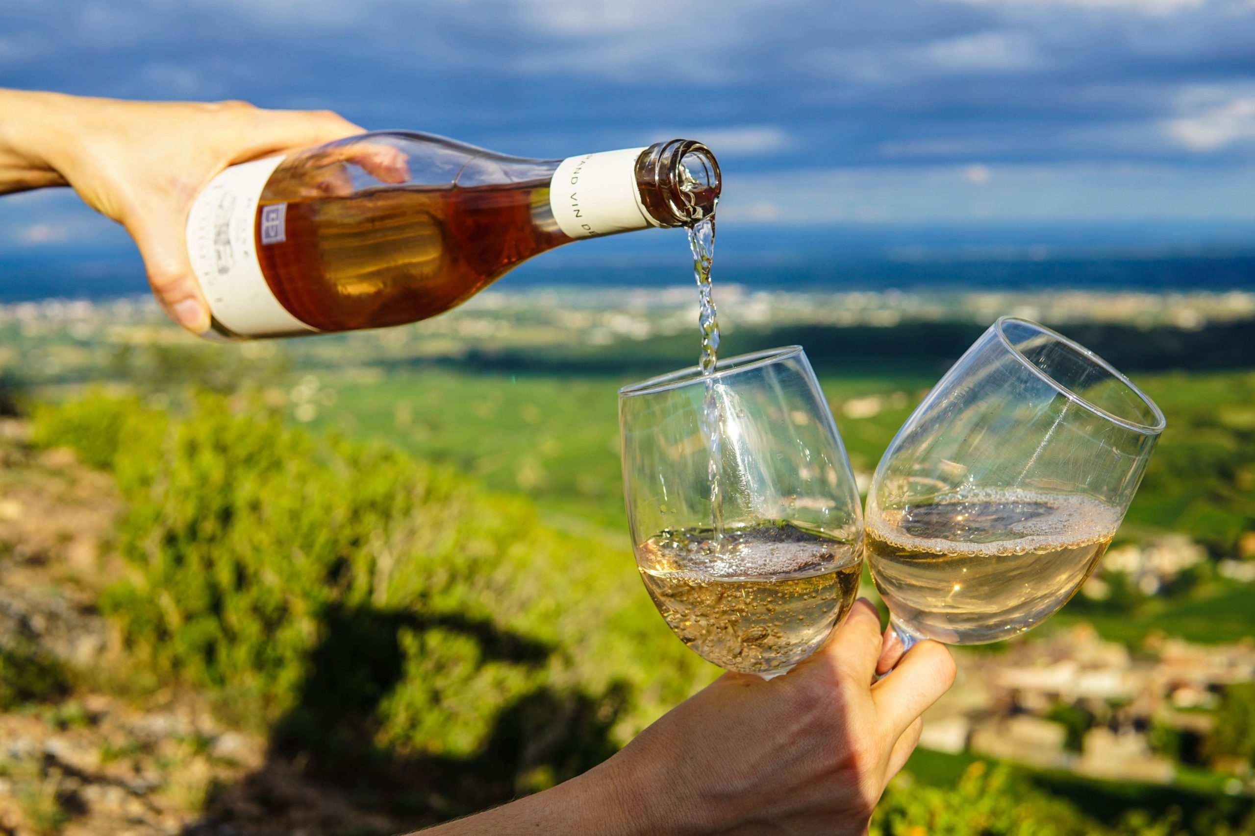 Prova de Vinhos Arrabida