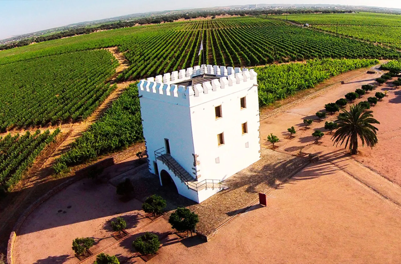 Évora & Monsaraz: Herança do Alentejo com Provas de Vinho - 4