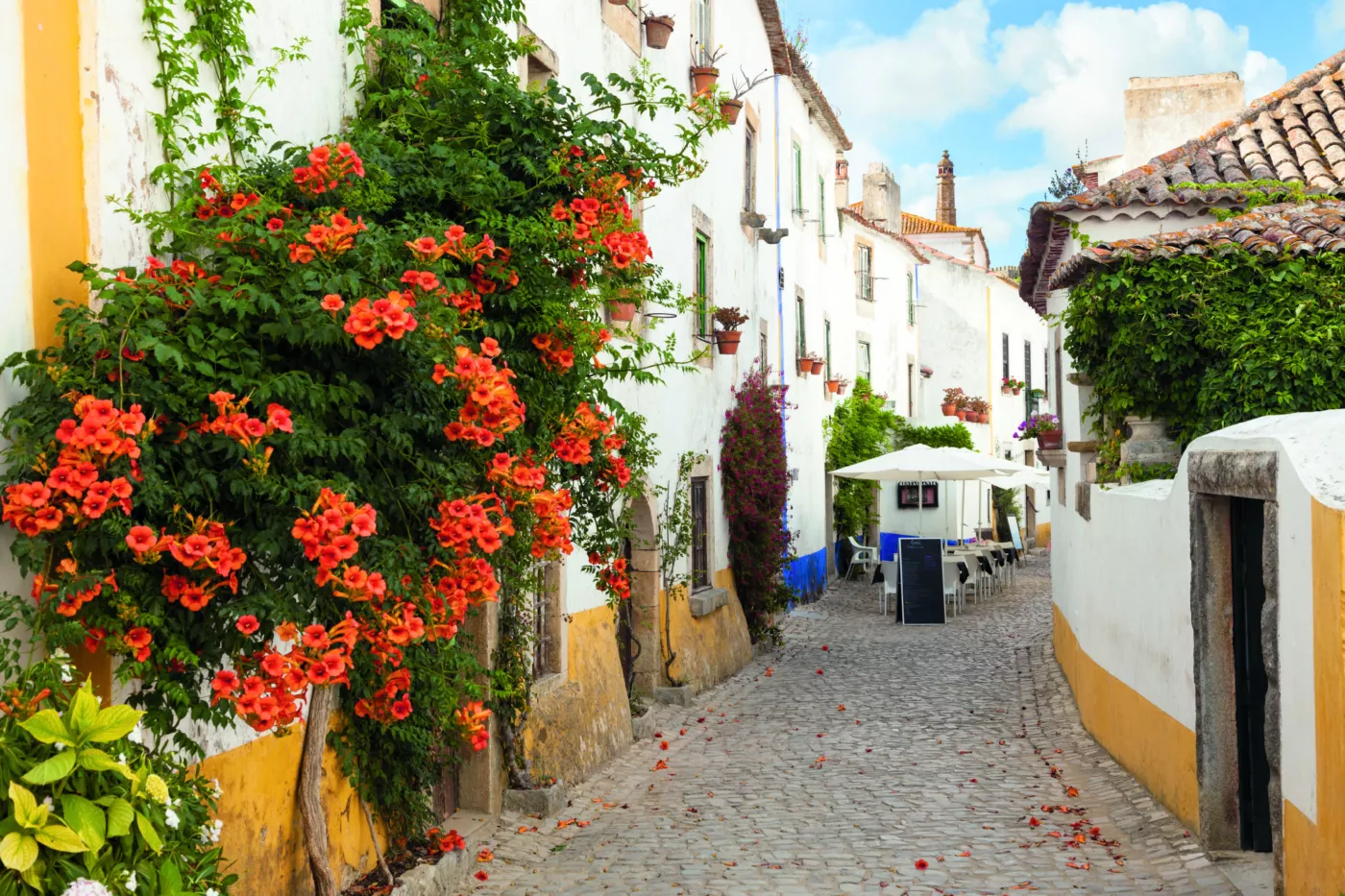 Óbidos Privado: Meio-Dia Medieval desde Lisboa - 6