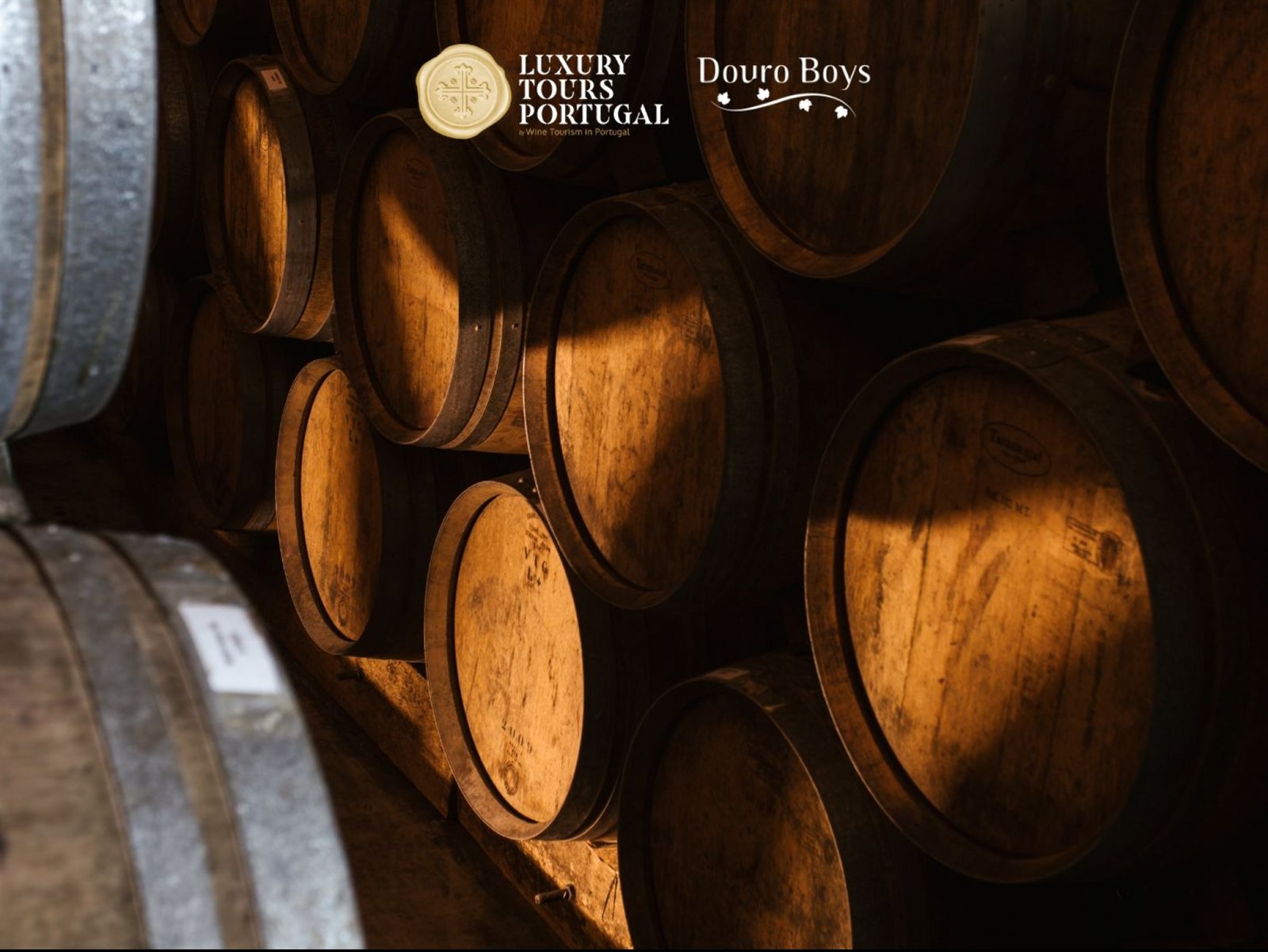 Retiro Luxo 6 Dias: Douro Boys & Vinhos Privados - 12
