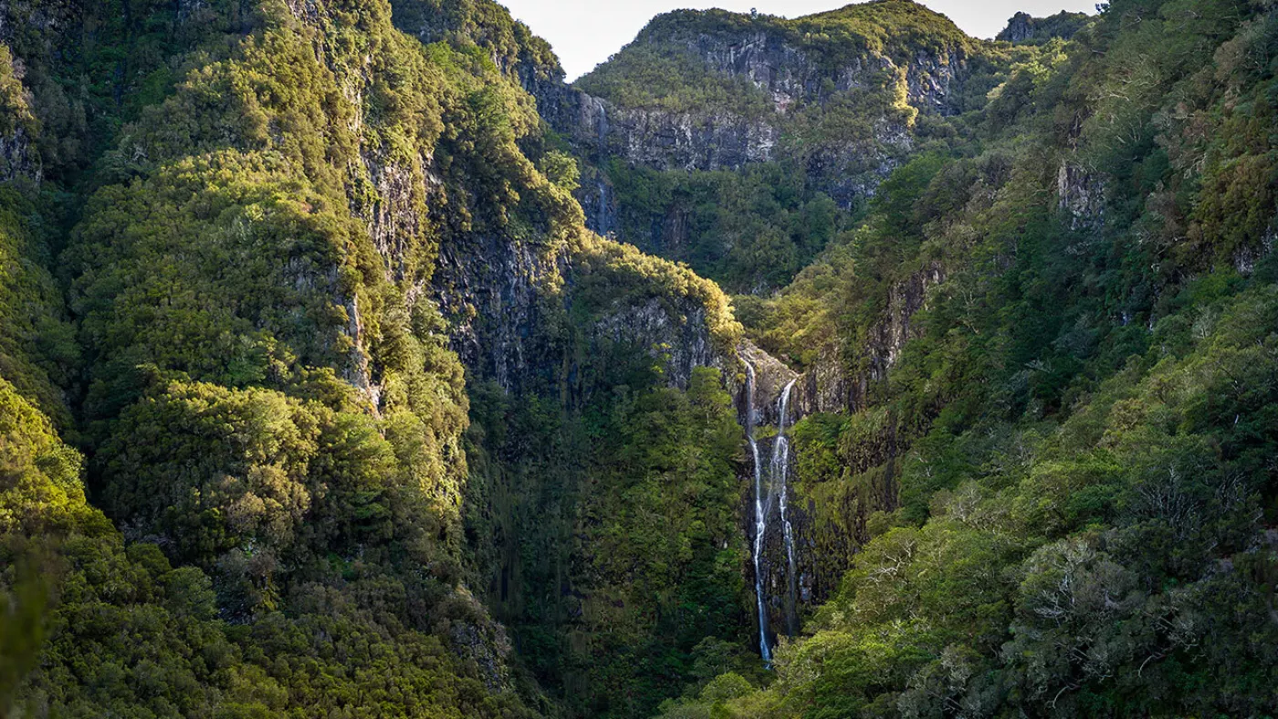 Rabaçal Levada Walk: Risco Waterfall and 25 Fontes - 5