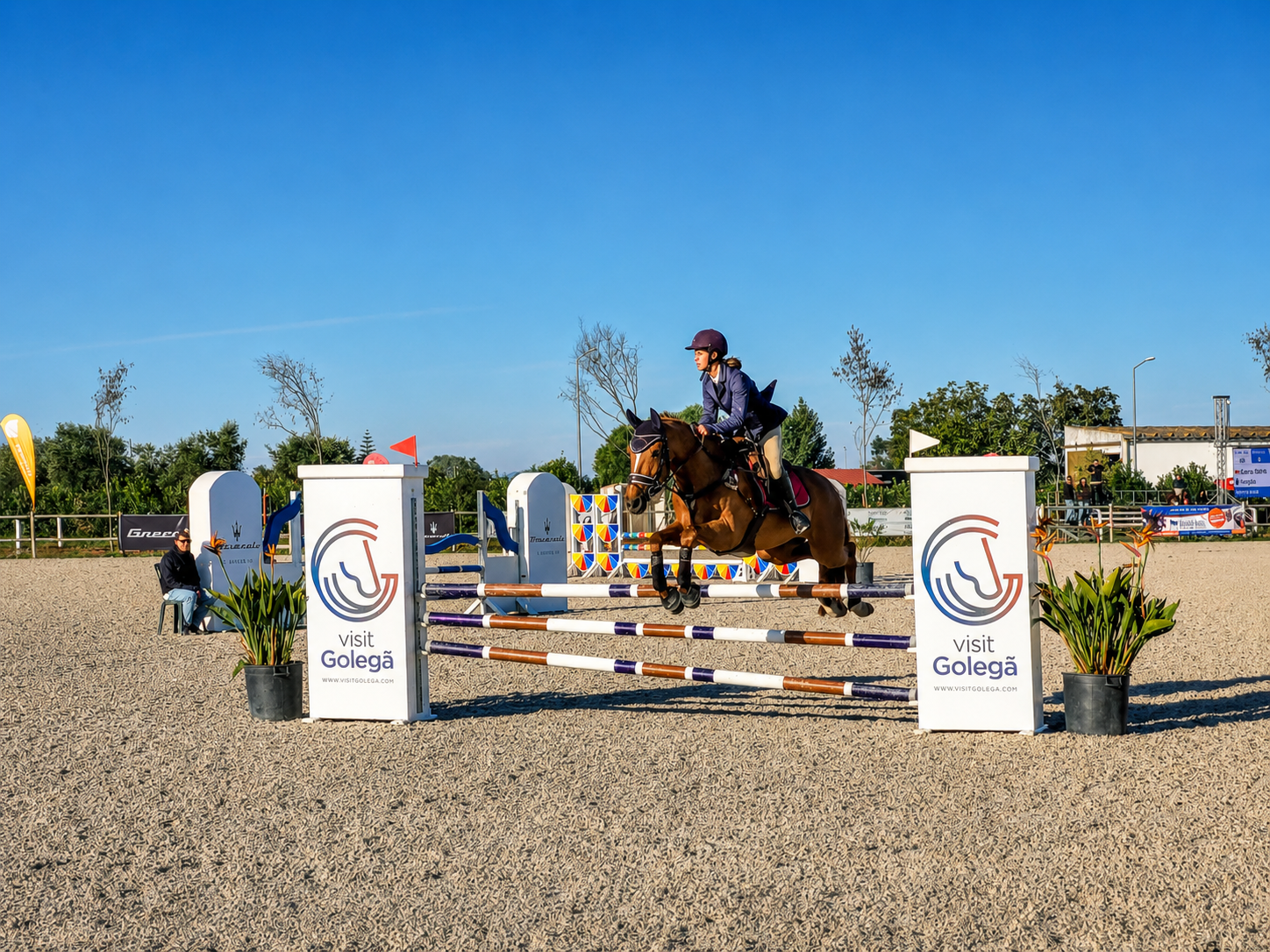 Feira Nacional do Cavalo, Golegã 2026 - 4