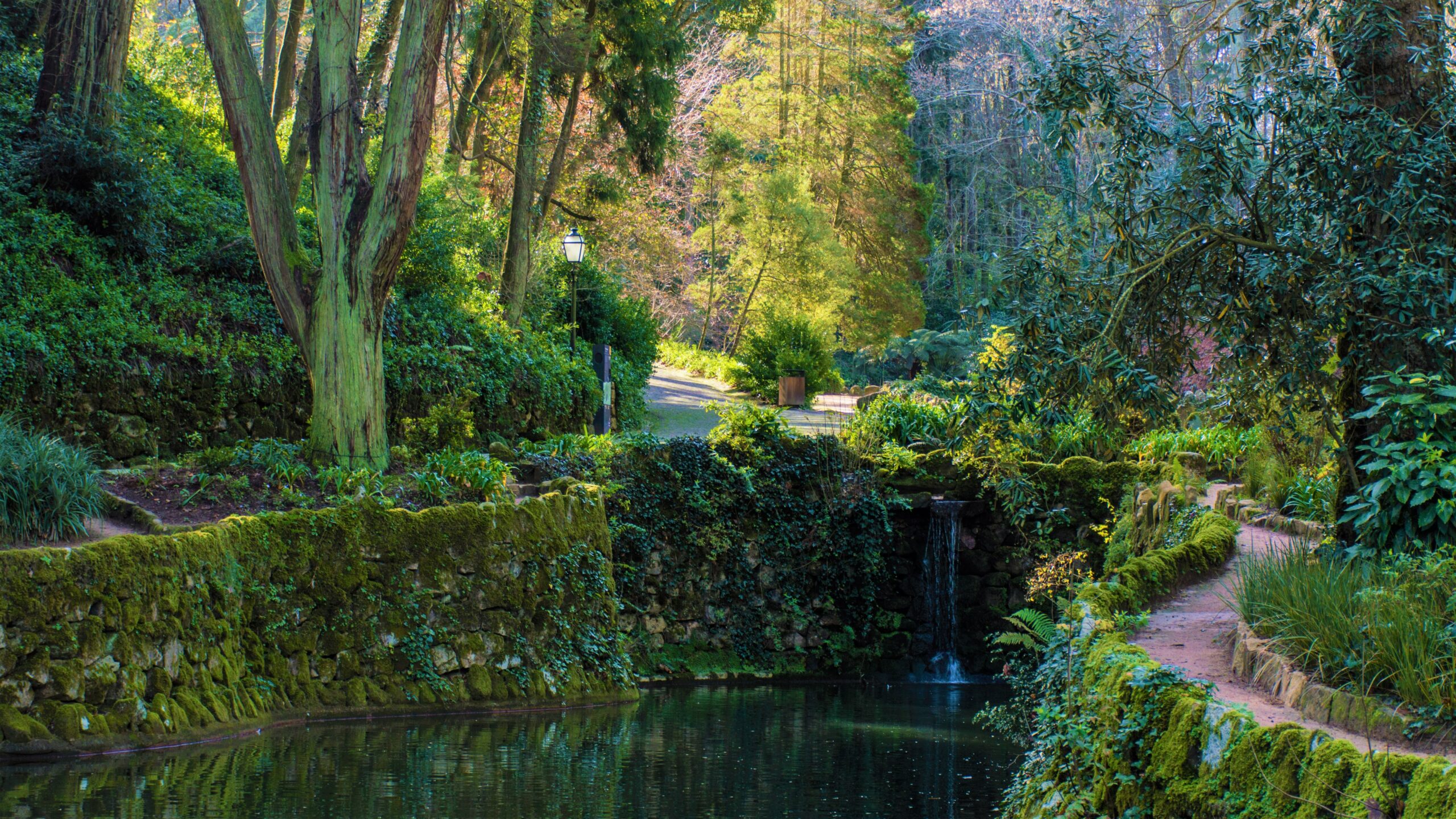 Tour Sintra com visita aos Palácios da Pena e Regaleira - 6